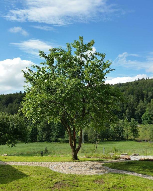 Rhoen-Hotel Sonnenhof - Restaurant & Cafe Poppenhausen Eksteriør bilde