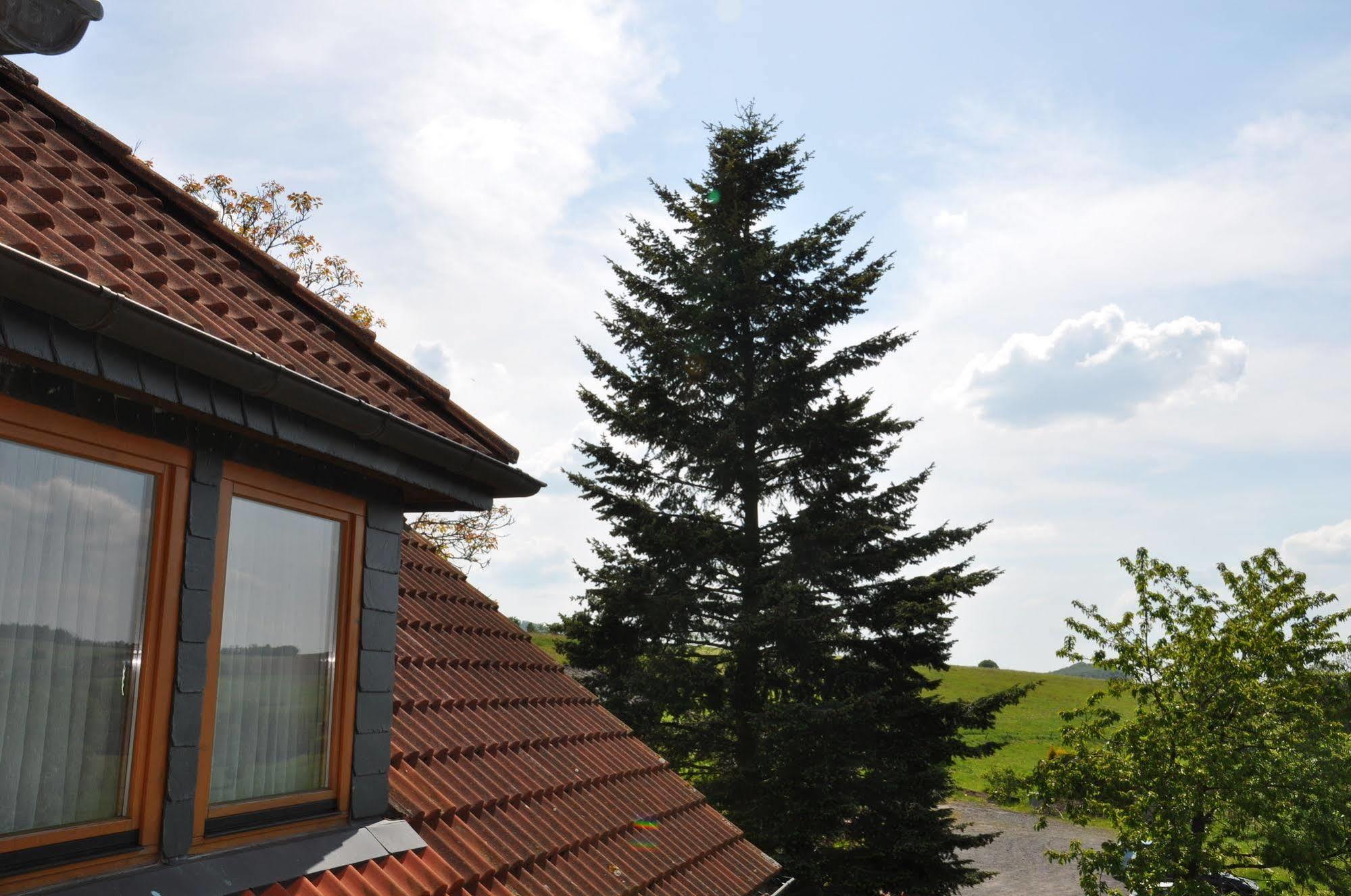 Rhoen-Hotel Sonnenhof - Restaurant & Cafe Poppenhausen Eksteriør bilde